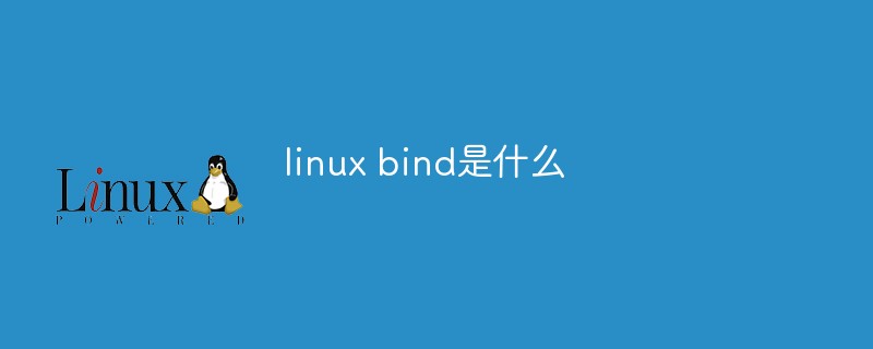 linux bind是什么-QQ1000资源网