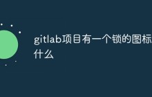 gitlab项目有一个锁的图标代表什么