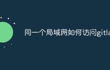如何在同一局域网中访问GitLab的信息