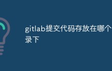 gitlab上提交的代码存储在什么目录中