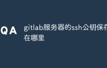 浅析GitLab服务器上SSH公钥的保存位置