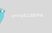 讨论如何在Golang中进行远程开发