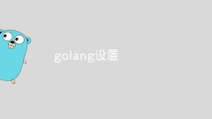 總結一些常見的golang設置