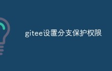 如何在Gitee上设置分支保护权限