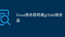 如何在linux服务器上搭建gitlab服务器