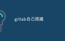 如何搭建自己的 GitLab 服务器