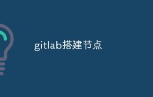 聊聊gitlab怎么搭建节点