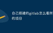 如何在自己搭建的GitLab上查看所有的项目