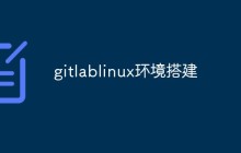 linux怎么搭建gitlab环境