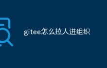 gitee怎么拉人进组织