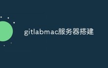 如何在Mac电脑上搭建GitLab服务器