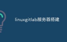 详解怎么在Linux服务器上搭建GitLab