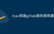 如何通过几步骤搭建自己的GitLab服务器