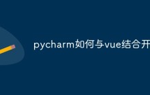 pycharm如何与vue结合开发