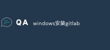 How to install gitlab in windows