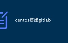 centos搭建Gitlab的详细步骤（分享）