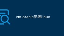 如何在VM Oracle中安装Linux操作系统