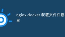 nginx docker 配置文件在哪里