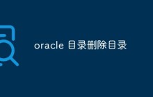 如何从Oracle数据库中删除目录