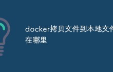 docker拷贝文件到本地文件在哪里