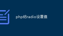 如何在PHP中给radio按钮设置值