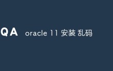 Oracle 11g安装过程中遇到乱码问题怎么办