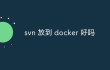 讨论一下将SVN放到Docker中真的好吗