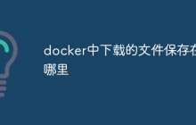 详细介绍Docker中下载的文件保存的位置和方法