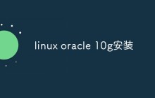 Linux服务器上怎么安装Oracle 10g