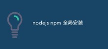 How to use nodejs npm global installation and precautions