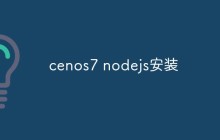 如何在Cenos7中安装Node.js