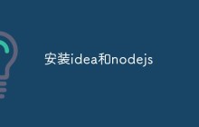 如何安装Idea和Nodejs