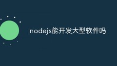 nodejs能开发大型软件吗