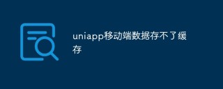 uniapp移动端数据存不了缓存怎么办