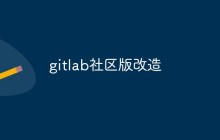 一起聊聊GitLab社区版的改造