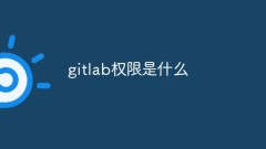 Un article pour parler des trois permissions de gitlab