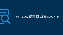How to set server return cookies in UniApp