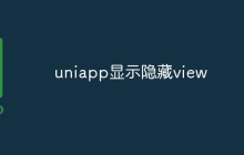 uniapp怎么动态控制元素的显示隐藏