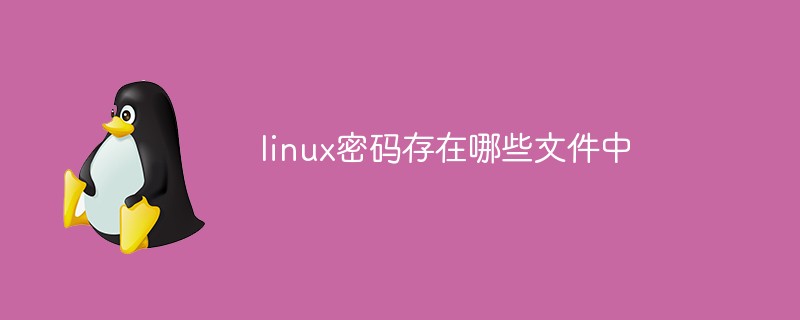 Linux 비밀번호는 어떤 파일에 존재합니까?