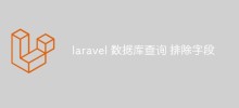 Explication détaillée de la façon d'exclure les données de requête de champs spécifiques dans Laravel