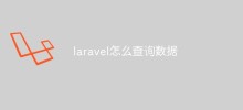 Comment interroger des données dans Laravel ? Introduction aux méthodes courantes