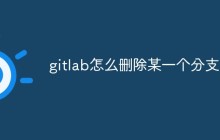 如何删除GitLab上的某一个分支（步骤）