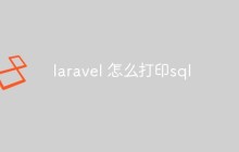 laravel怎么打印执行的SQL语句（两种方法）