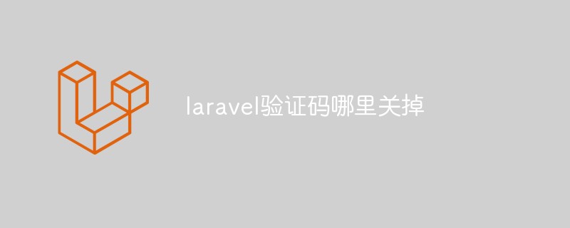 Bagaimana untuk mematikan fungsi kod pengesahan dalam laravel