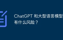 ChatGPT 和大型语言模型：有什么风险？