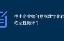 中小企业如何摆脱数字化转型的恶性循环？