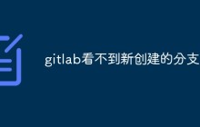 gitlab看不到新创建的分支怎么办