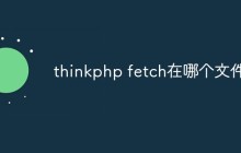 thinkphp fetch在哪个文件