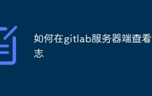 如何在gitlab服务器端查看日志