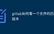 gitlab如何看一个文件的历史版本